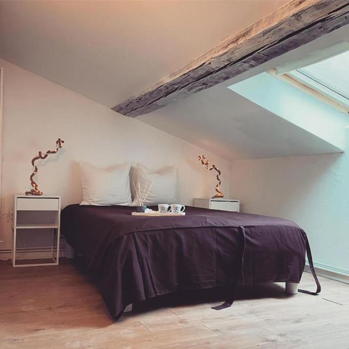 Nancy Appartement En Triplex Plein Centre المظهر الخارجي الصورة